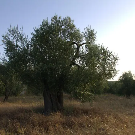 Διαμέρισμα Borgo Rosoli Βιέστε