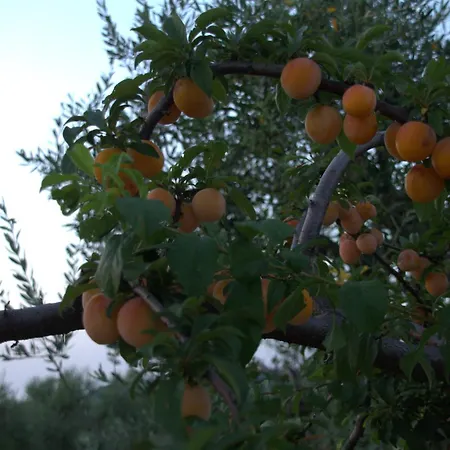 Borgo Rosoli Διαμέρισμα Βιέστε