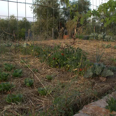 Διαμέρισμα Borgo Rosoli Βιέστε