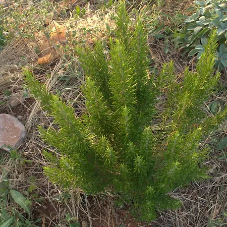 Διαμέρισμα Borgo Rosoli