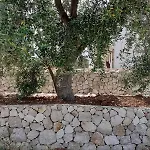 Borgo Rosoli Appartement