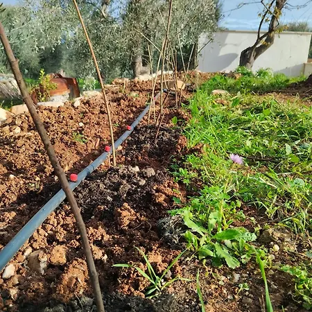 Apartment Borgo Rosoli